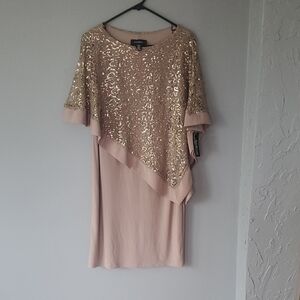 Elegant Sequin Overlay Dress